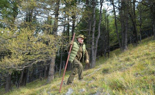 Putin ve Şoygu ormanda