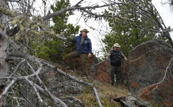 Putin ve Şoygu ormanda