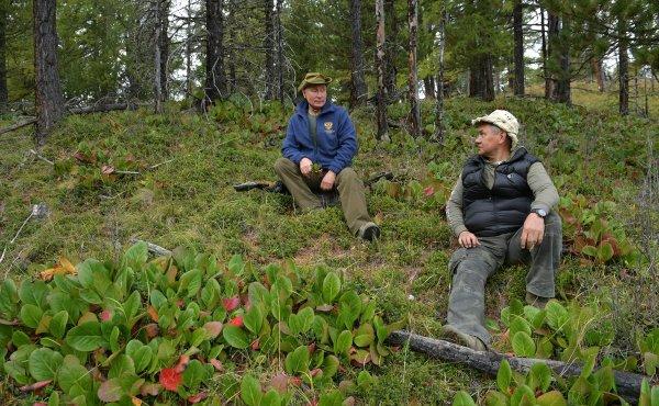 Putin ve Şoygu ormanda