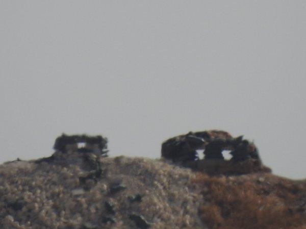 Teröristler Münbiç'in sınırından çekildi