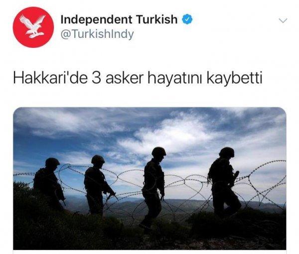 Independent Türkçe yazarına göre Türkiye istila ediyor