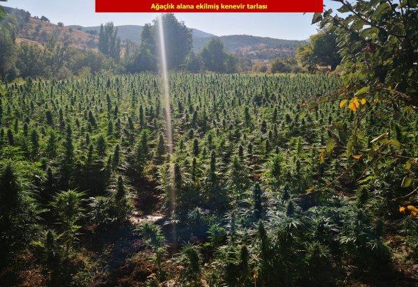 PKK'nın finansal ayağına darbe