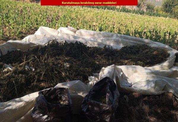 PKK'nın finansal ayağına darbe