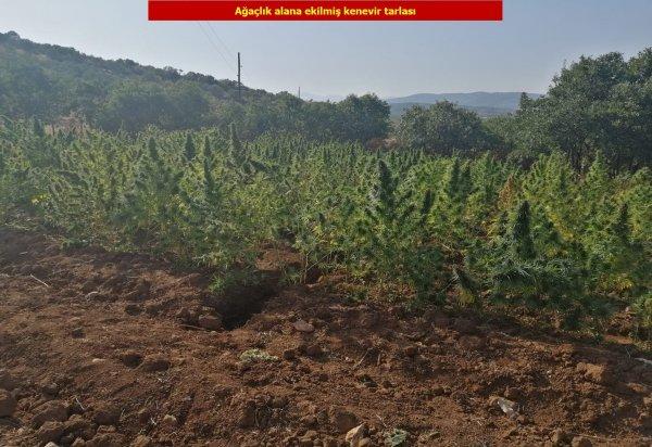 PKK'nın finansal ayağına darbe