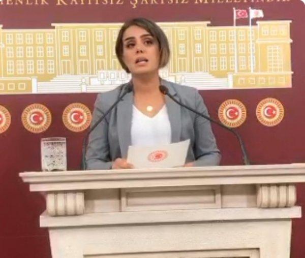 HDP, Barış Pınarı Harekatı yalanlarına devam ediyor