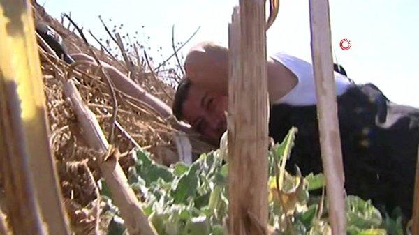 TGRT ekibinin YPG ateşi altında kaldığı anlar