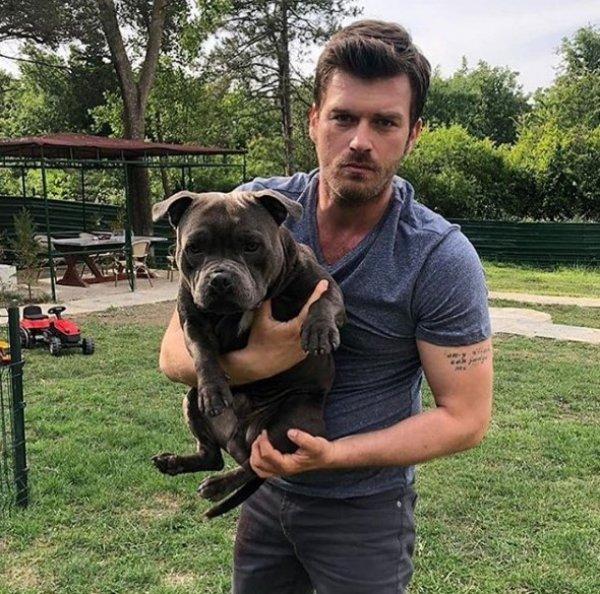 Kıvanç Tatlıtuğ köpeği Mars'ı Amerika'ya götürecek