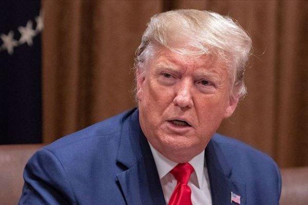 Trump'tan Barış Pınarı Harekatı için yeni saçma açıklama