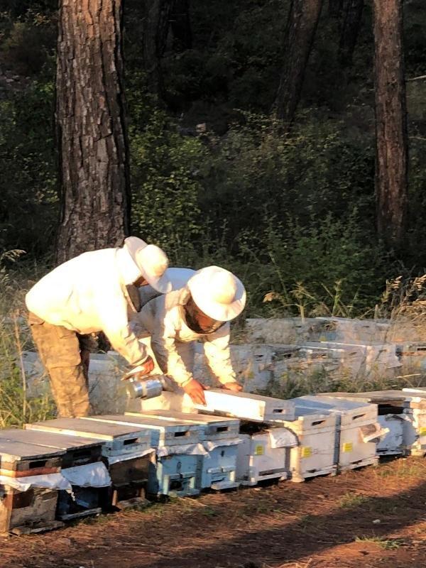 Arı kovanları içinde preslenmiş 152 kg eroin bulundu