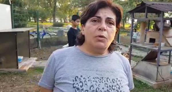 Temizlik işçileri parkta yanmış kedi ölüsü buldu