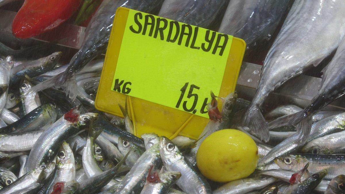 Sardalyanın kilosu 15 liraya düştü