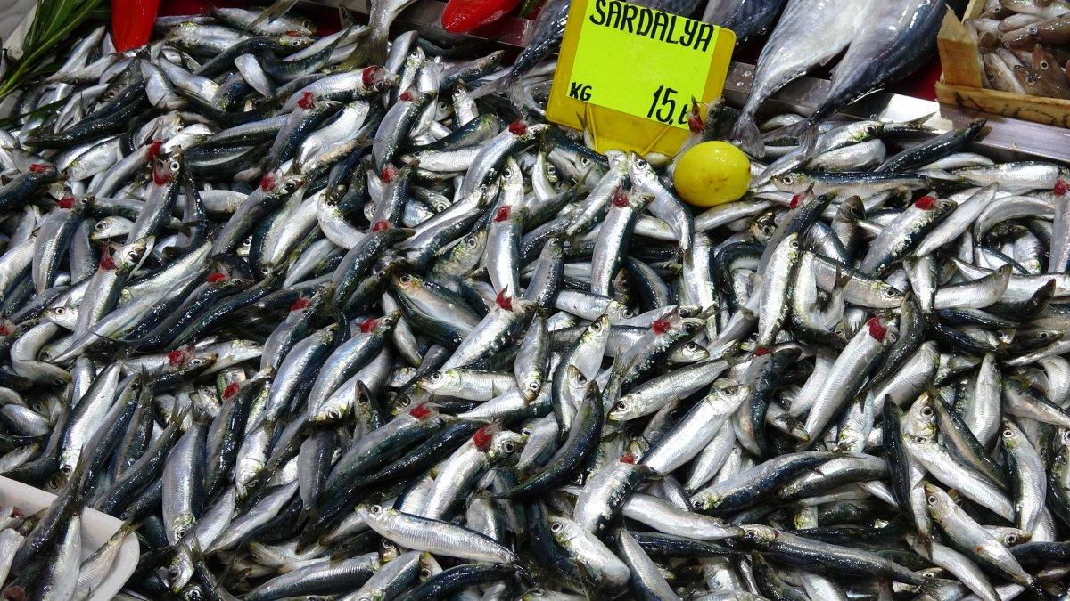 Sardalyanın kilosu 15 liraya düştü