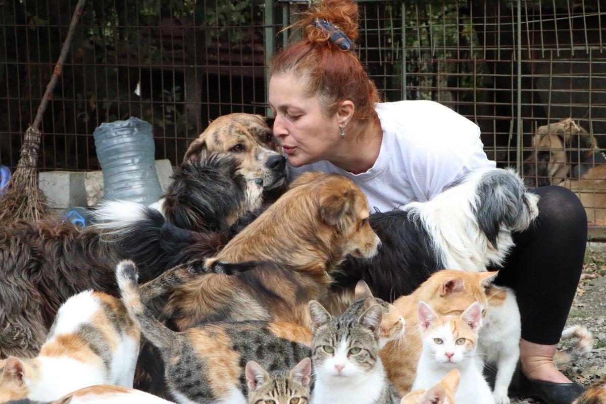 Samsun'da hayvanların kraliçesi 150 hayvana bakıyor