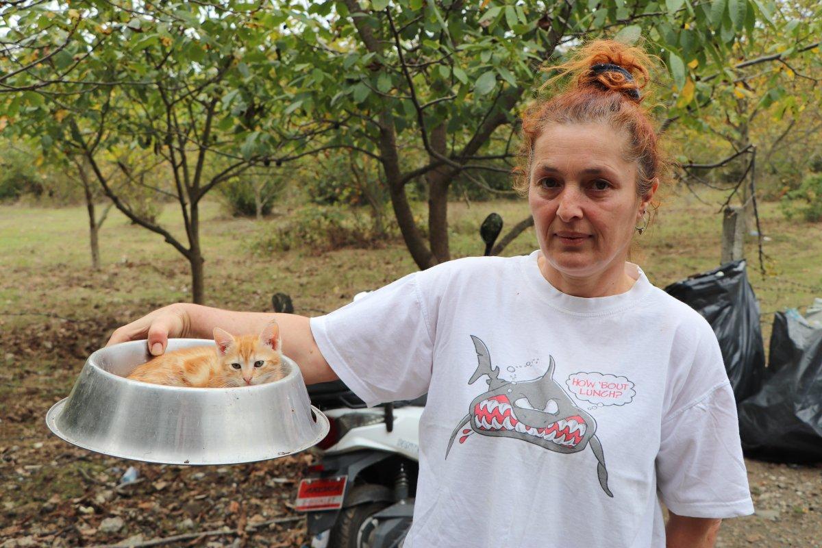 Samsun'da hayvanların kraliçesi 150 hayvana bakıyor