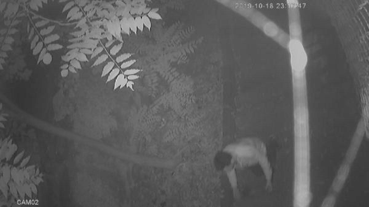 Beşiktaş'ta tacize uğrayan genç kız yaşadıklarını anlattı