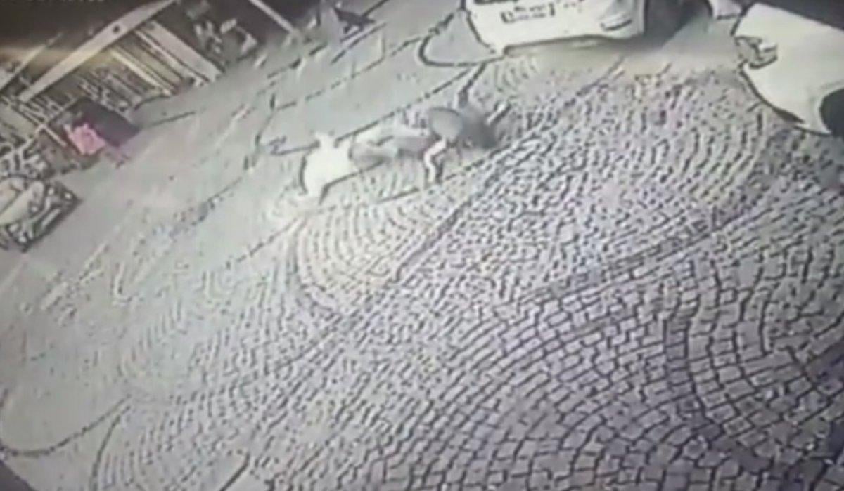 İstanbul'da intihar eden kadını tutmaya çalıştı