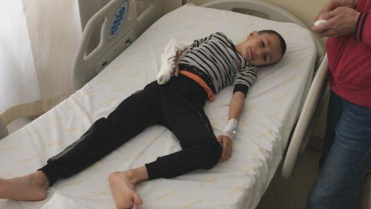 Küçükçekmece'de pitbull küçük çocuğa saldırdı