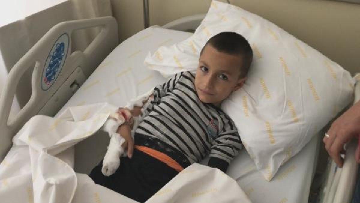 Küçükçekmece'de pitbull küçük çocuğa saldırdı