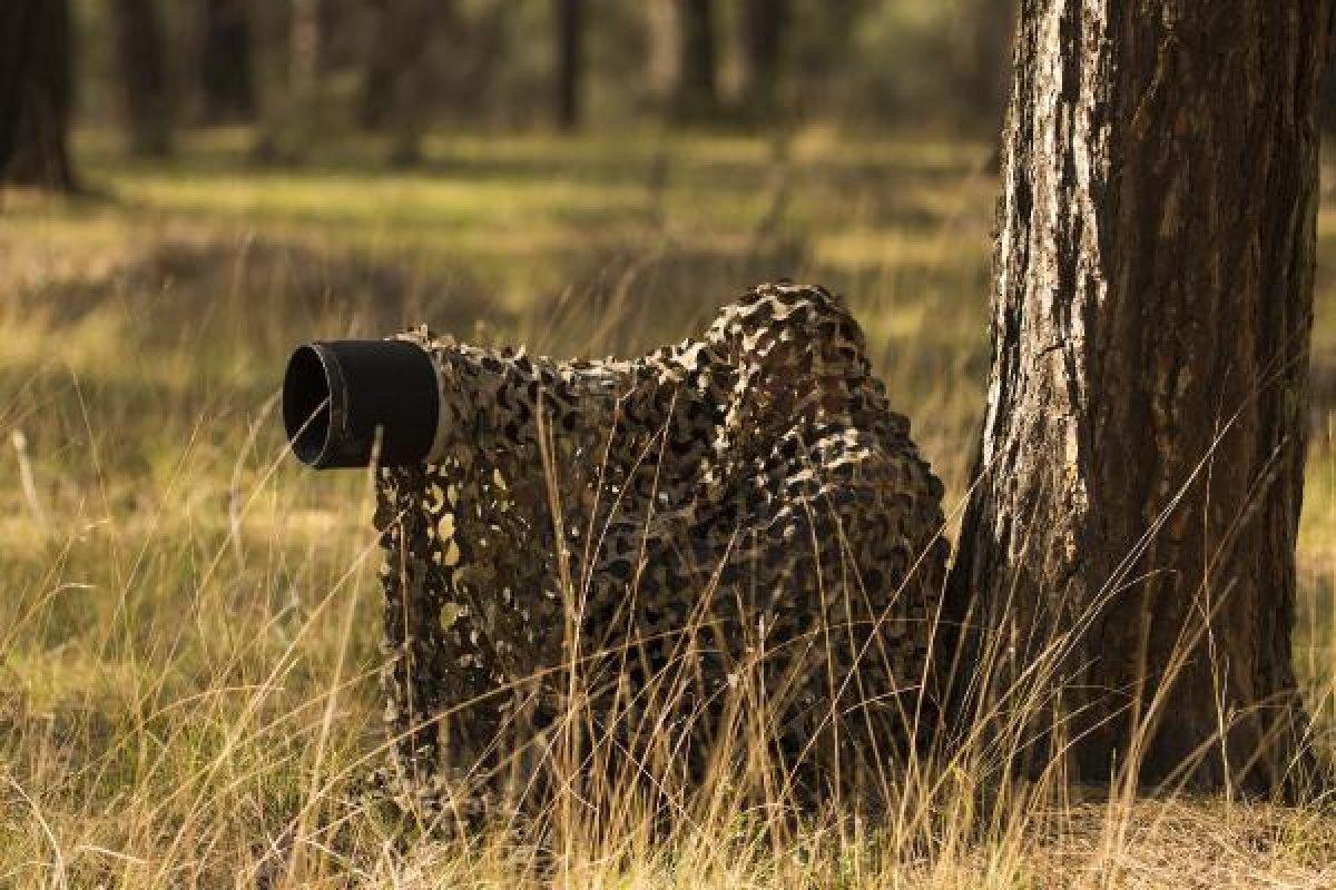 Toros Dağları eteklerinde alageyik görüntülendi