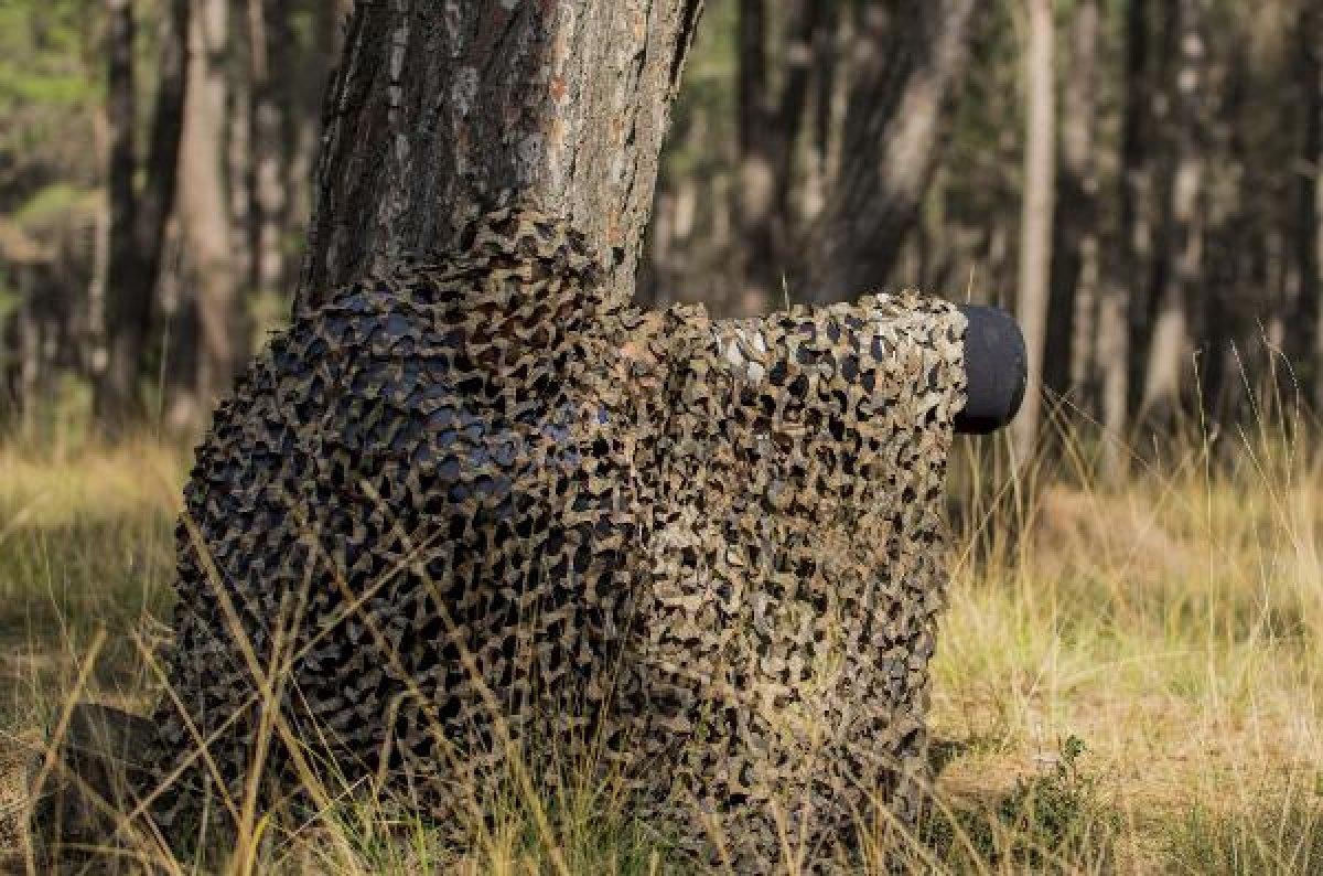 Toros Dağları eteklerinde alageyik görüntülendi