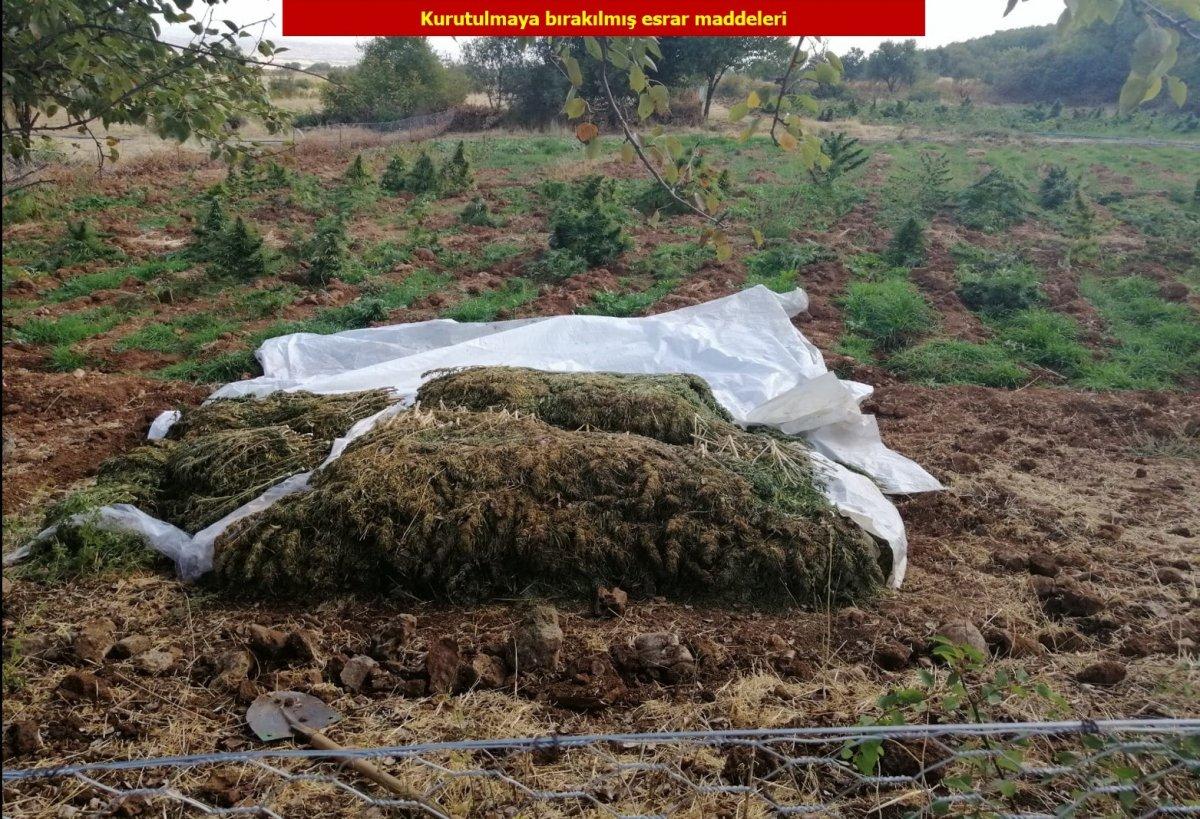 Diyarbakır'da 4 ton esrar ele geçirildi