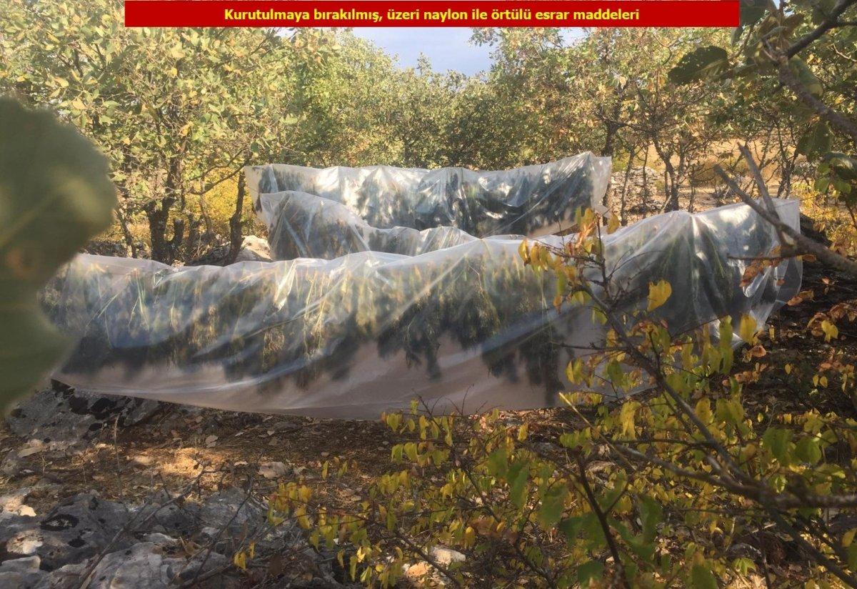 Diyarbakır'da 4 ton esrar ele geçirildi