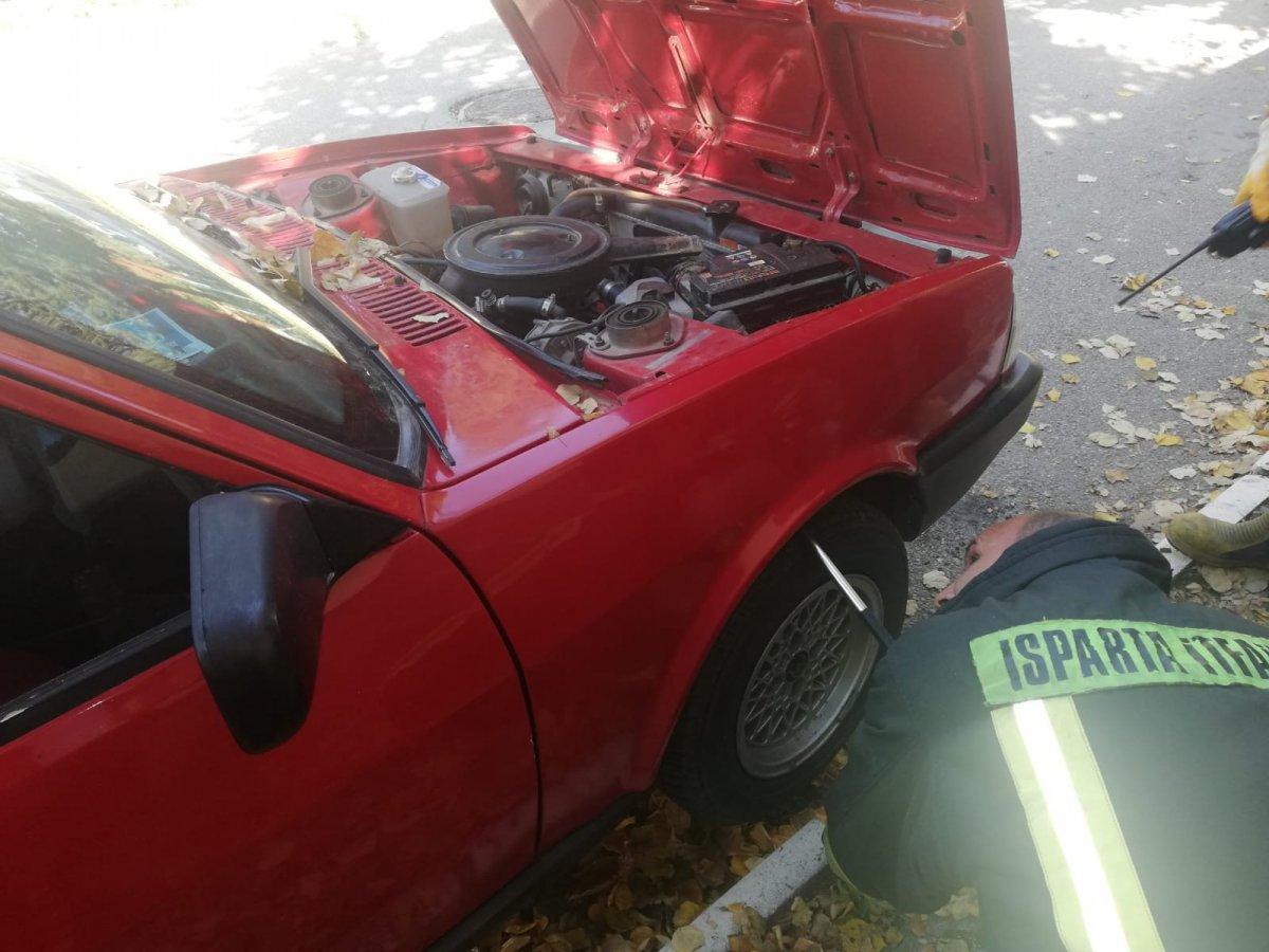 Isparta'da itfaiye ekipleri bir araçtan yılan çıkarttı