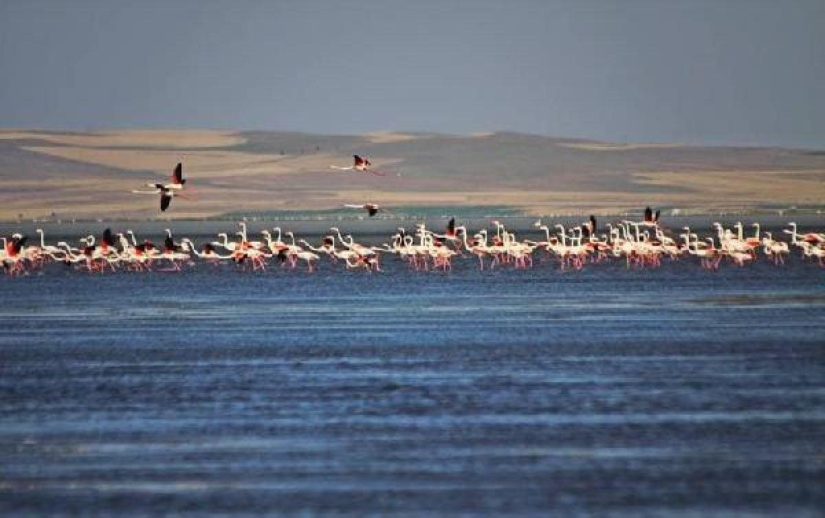 Seyfe Gölü kuraklıkla mücadele ediyor