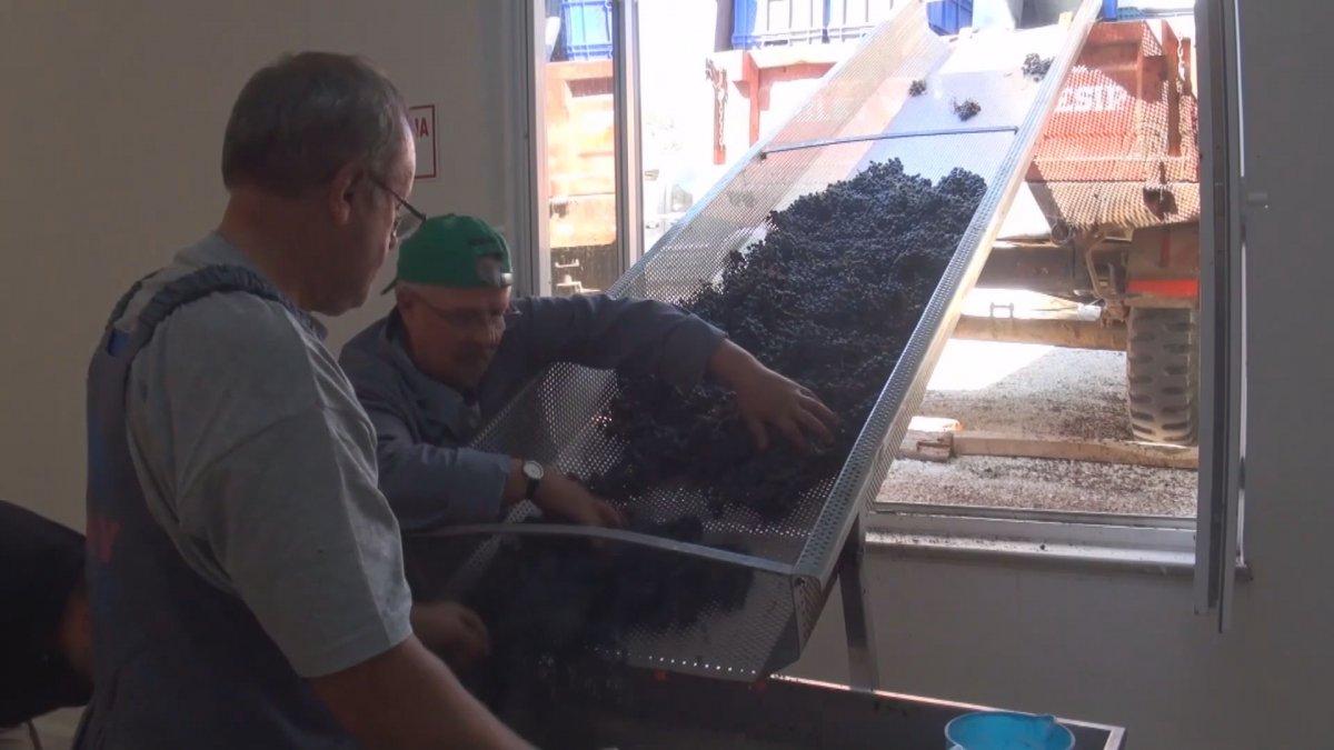 Tescilli 'hardaliye' Avrupa pazarına açılacak