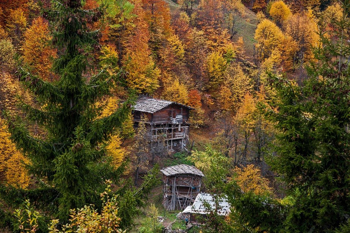 Artvin sonbaharda büyülüyor