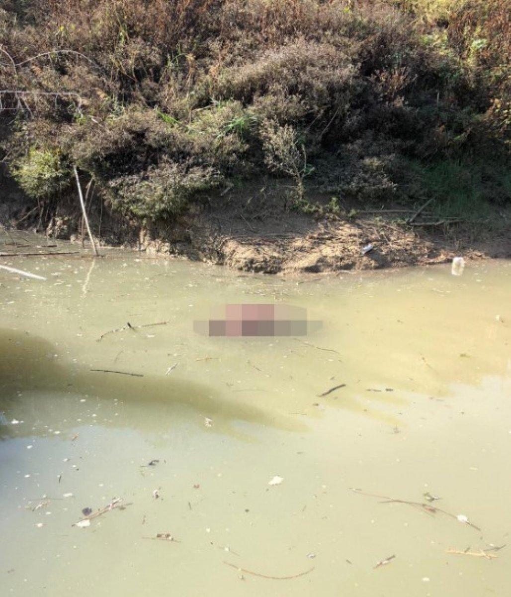 4 gün önce kaybolan kadın ölü bulundu