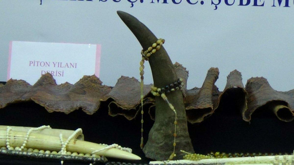 İstanbul'da 1.5 milyonluk 'fil dişi' operasyonu