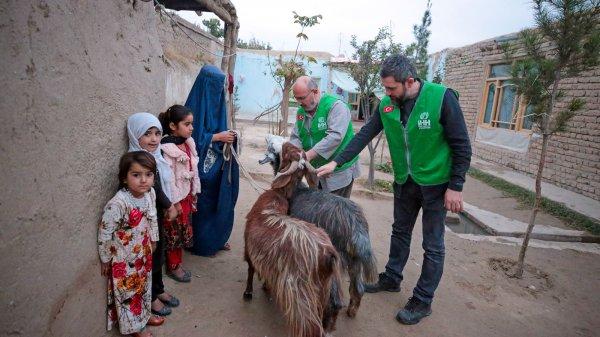 Türkiye’den Afganistan’a ‘yetim seferi’