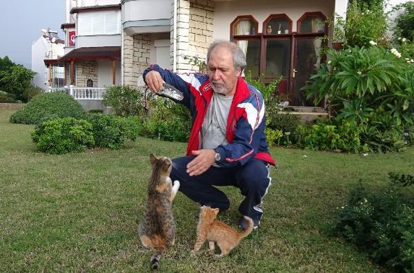 Mersin'de balon balıkları kedileri zehirledi