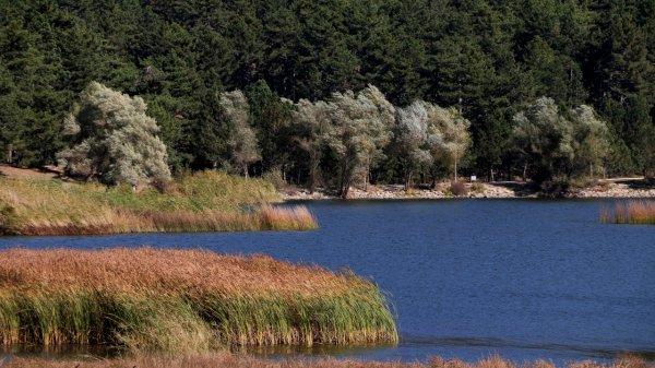 Gölcük Yaylası sonbaharda da ziyaretçilerini ağırlıyor