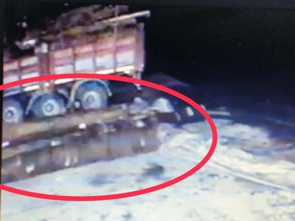 Kamyon şoförünün üstüne tomruklar düştü