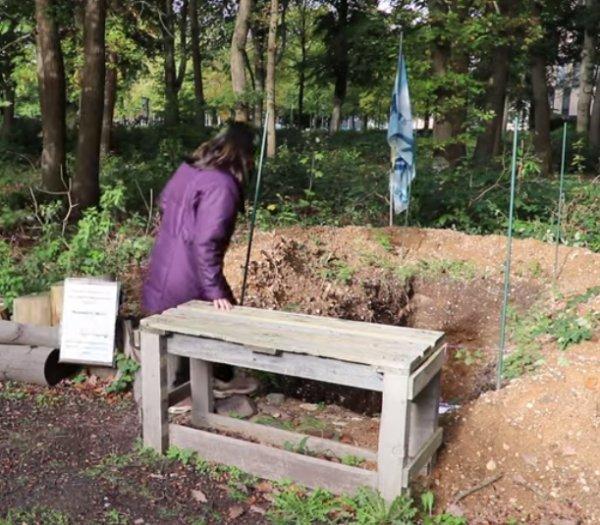 Hollanda'da arınma mezarı