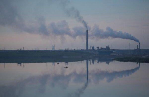 11 bin bilim insanı uyarıyor: Küresel felaket yakın