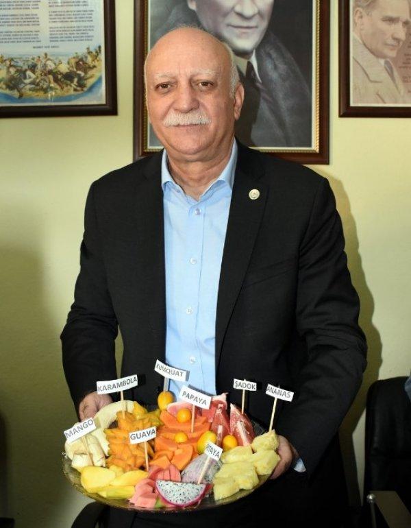 TZOB Başkanı: Ispanağın suçu yok