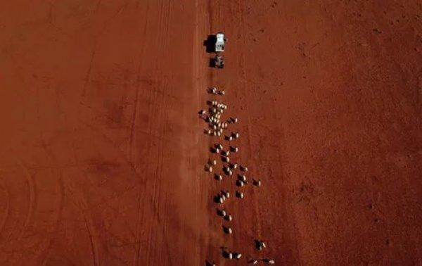 11 bin bilim insanı uyarıyor: Küresel felaket yakın