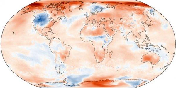 11 bin bilim insanı uyarıyor: Küresel felaket yakın