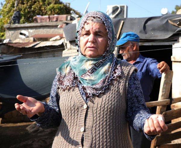 Adana'da 40 koyunu çalınan Ayşe Teyze hırsızlara yalvardı