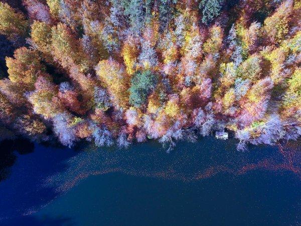Bolu ve Düzce'den tadına doyulmaz sonbahar manzaraları