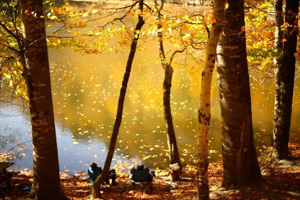 Bolu ve Düzce'den tadına doyulmaz sonbahar manzaraları