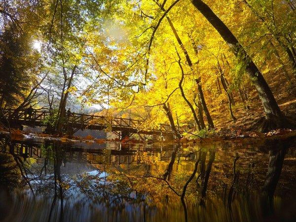 Bolu ve Düzce'den tadına doyulmaz sonbahar manzaraları