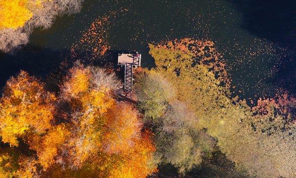 Bolu ve Düzce'den tadına doyulmaz sonbahar manzaraları