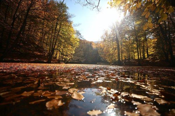 Bolu ve Düzce'den tadına doyulmaz sonbahar manzaraları