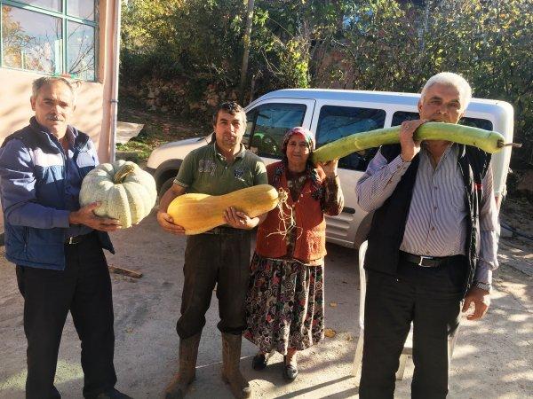 Bartın'da kabağın şaşırtan boyu