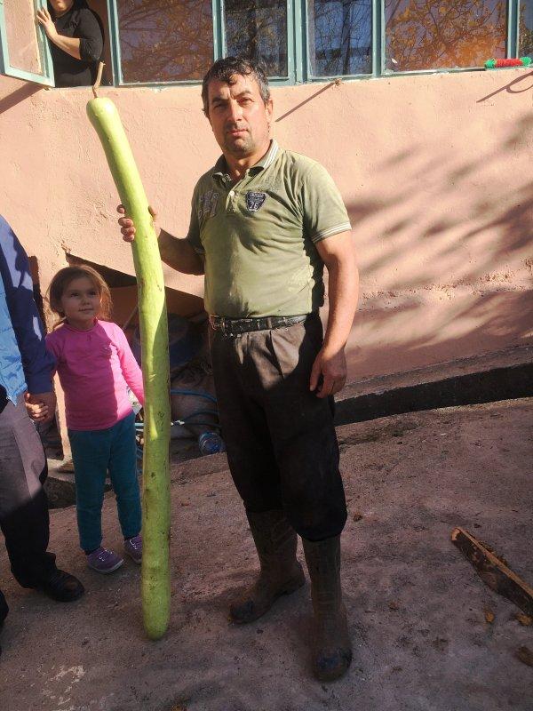 Bartın'da kabağın şaşırtan boyu