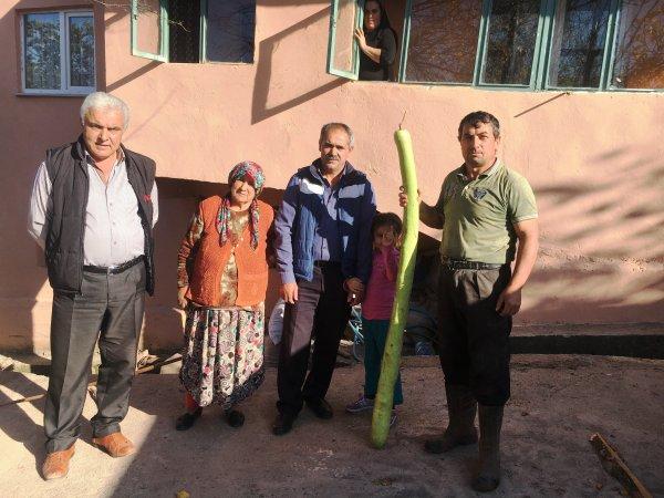 Bartın'da kabağın şaşırtan boyu